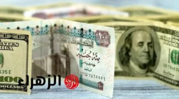 تحركات البنوك المصرية.. سعر الدولار أمام الجنيه في تعاملات منتصف الأسبوع بمصر